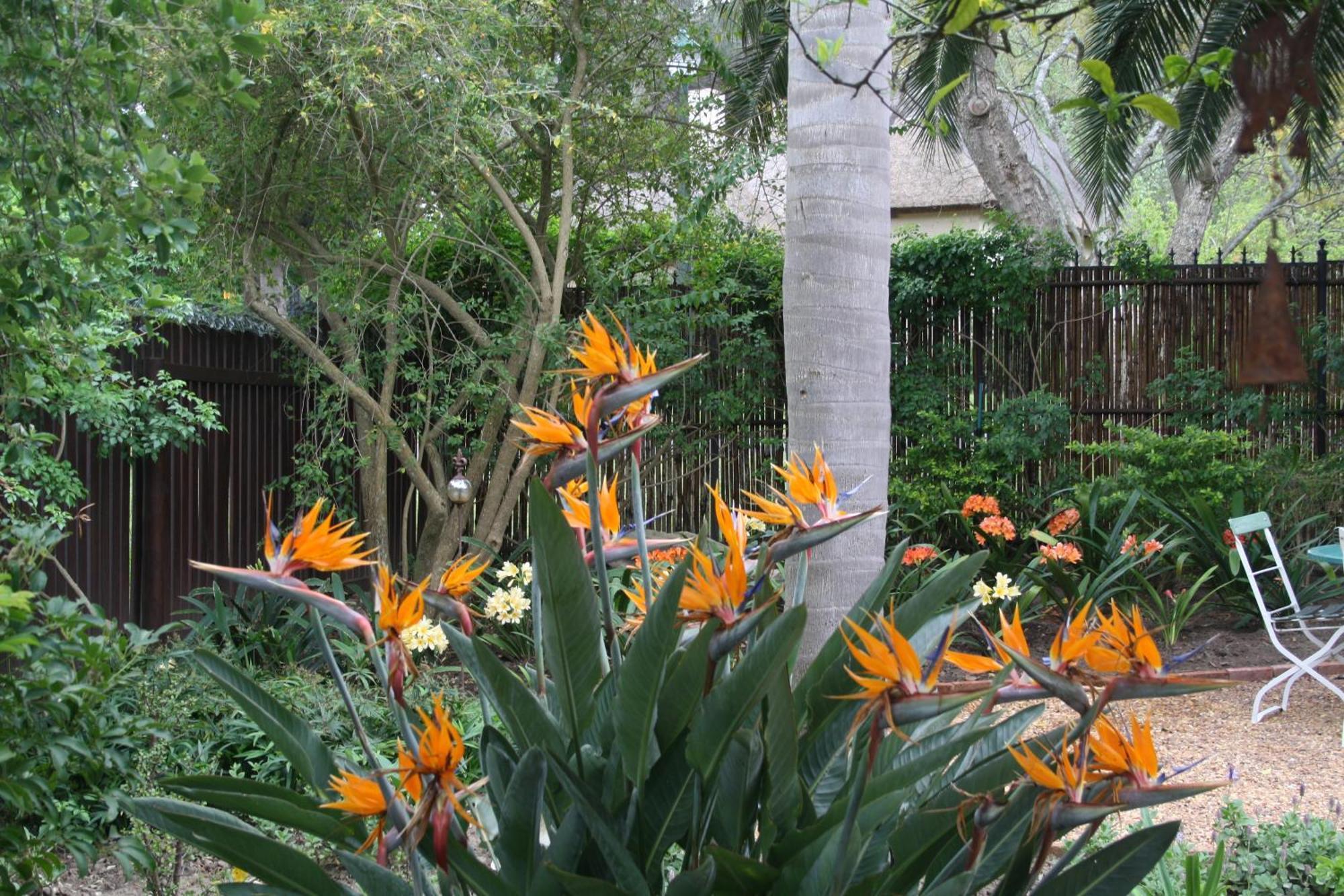 Tortelduif Cottage สเตลเลนบอช ภายนอก รูปภาพ