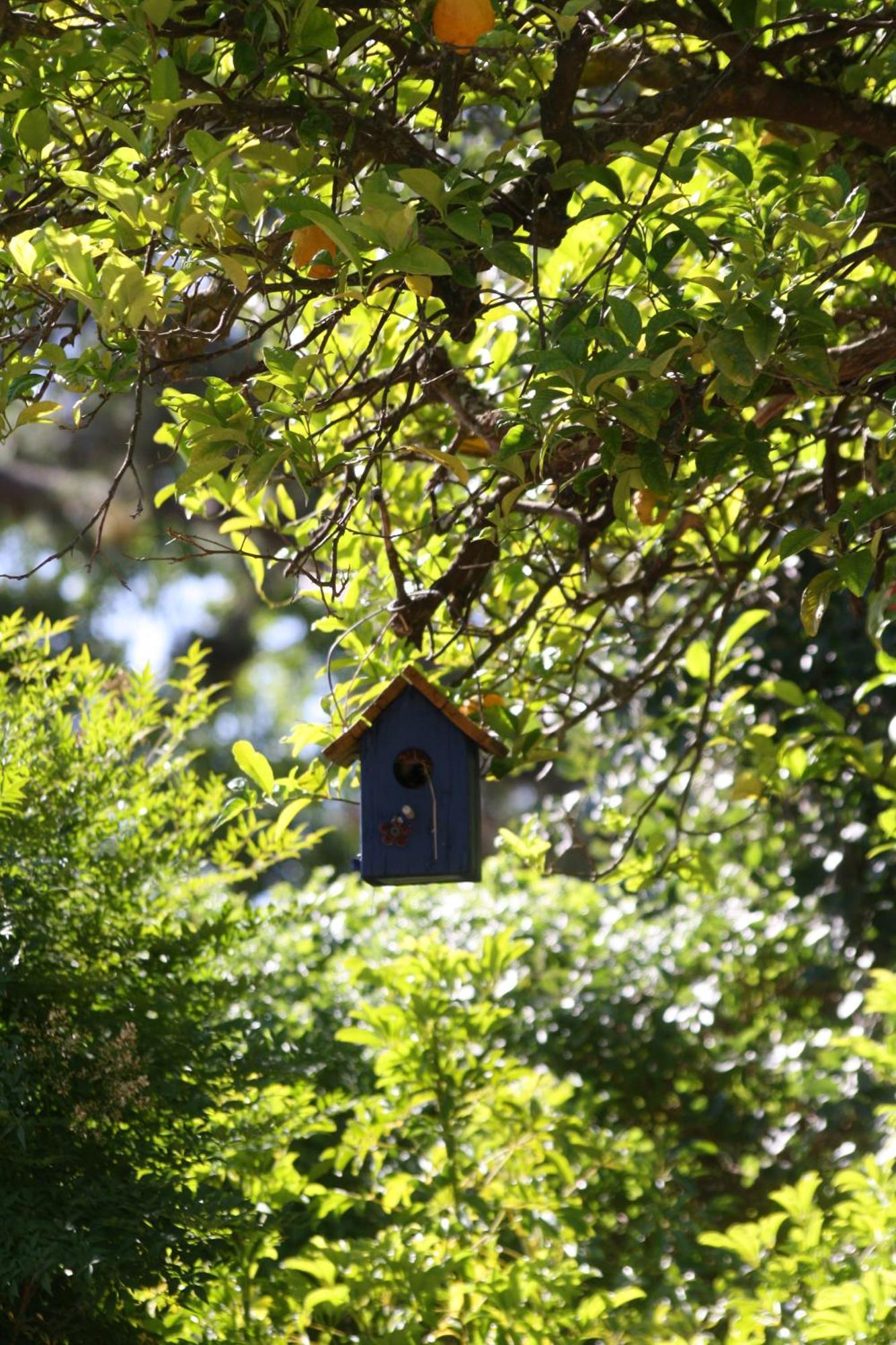 Tortelduif Cottage สเตลเลนบอช ภายนอก รูปภาพ
